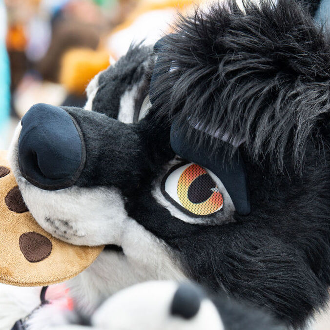 avatar for Zet Soku