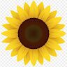 avatar for Amy Emery
