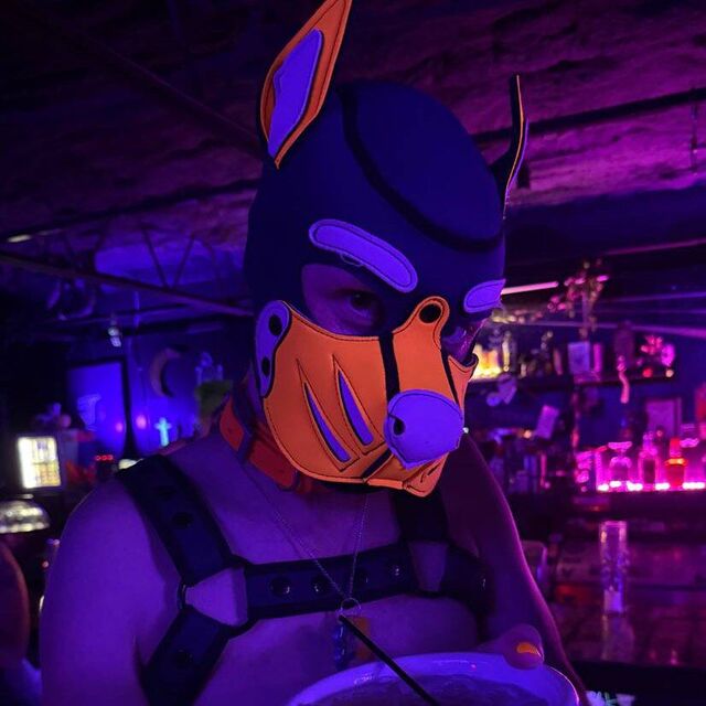 avatar for @pup_tonu
