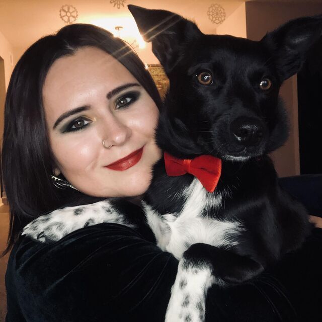 avatar for Lindsey Bacigal