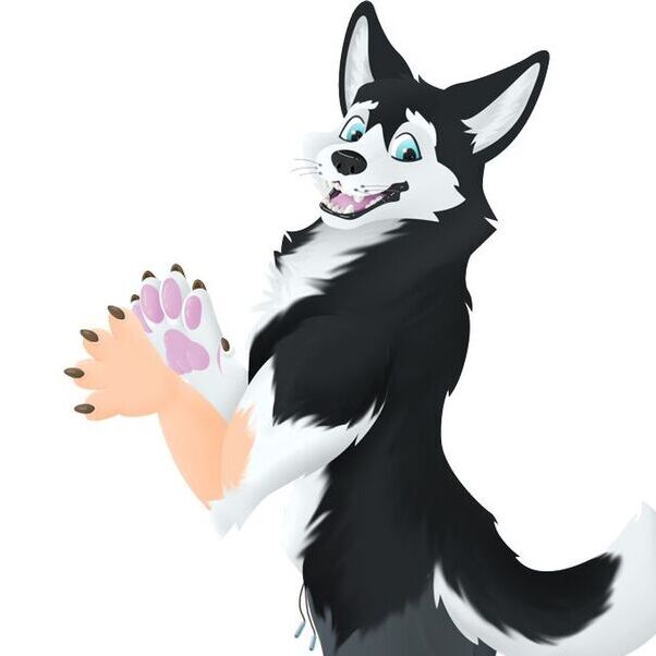 avatar for S_TF_Leet
