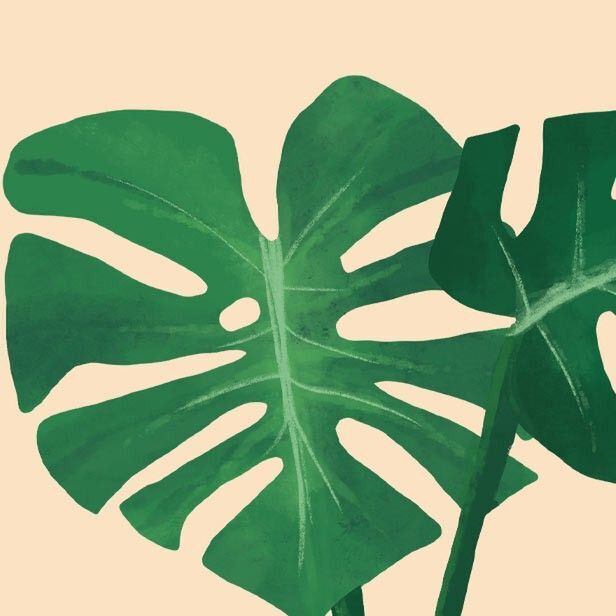 avatar for Naturalis