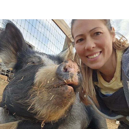 avatar for Hogs & Kisses