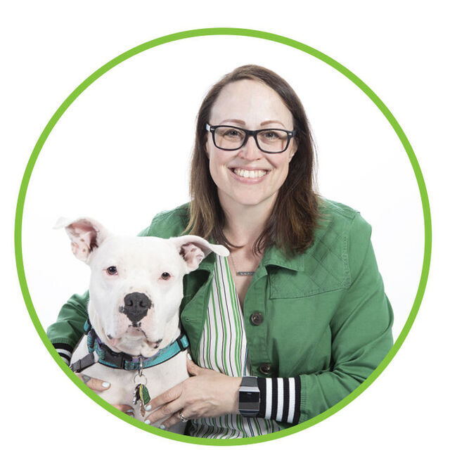avatar for Carol Anne Lajoie
