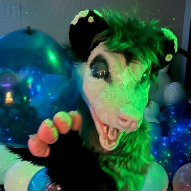 avatar for totallynottaxidermy