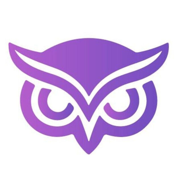avatar for Wise Digital Strategies