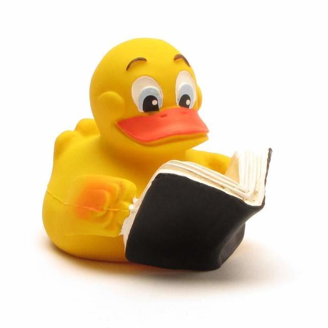 Птичий двор из гадкого утенка. Утка читать. Резиновая уточка повар. Иллюстрации книг бианки в анюткина утка. Утята читают книги.