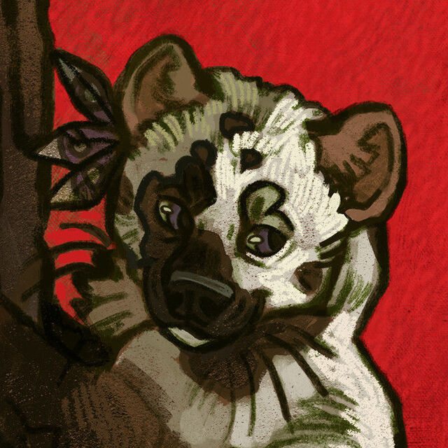 avatar for Sir Kenzi