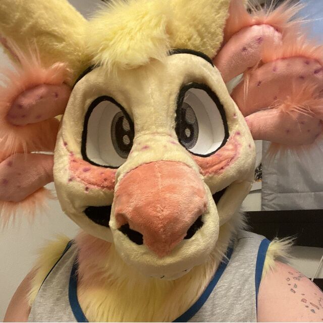 avatar for MangoAxollama