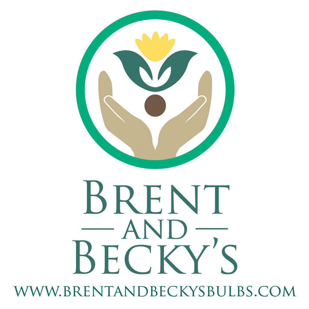 avatar for Brent & Becky's Bulbs