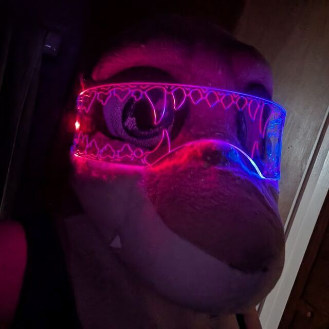 avatar for Sendemi