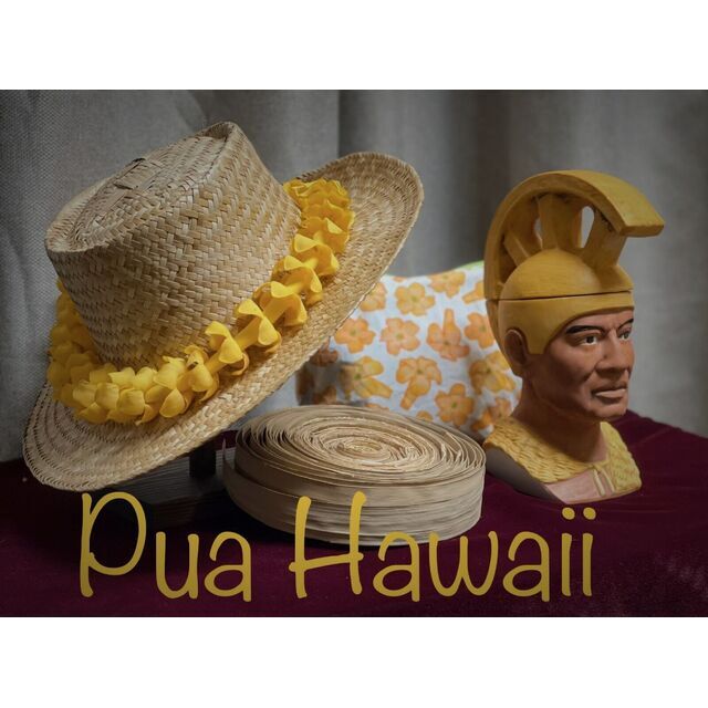 avatar for Pua Hawaii