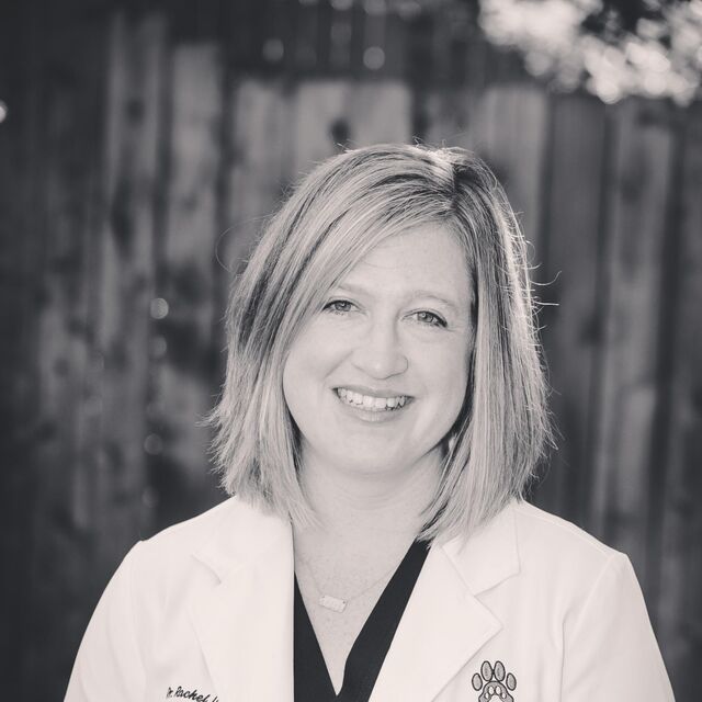 avatar for Rachel KW Larson