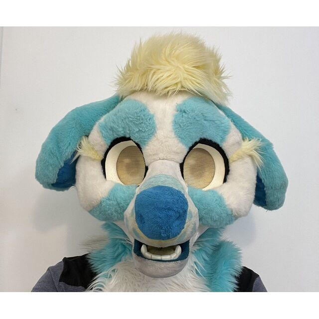 avatar for “Riksu Biodog” FurryRomo