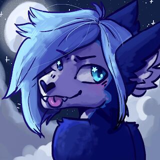 avatar for Ash Fluffbutt