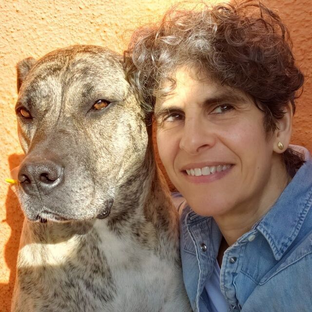avatar for Ada Czerwonogora