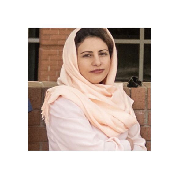 avatar for Fatemeh Afghah