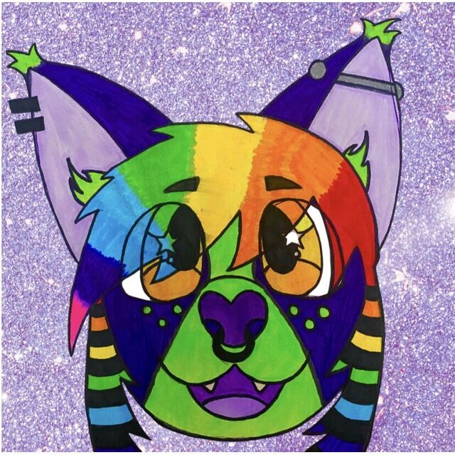 avatar for Bo