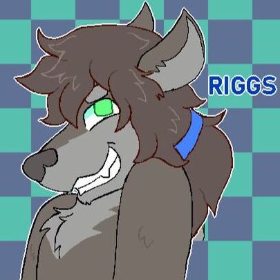 avatar for Riggs64