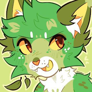 avatar for orchid