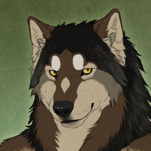 avatar for Lazywolf