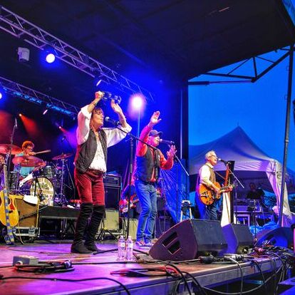 avatar for The Cowsills