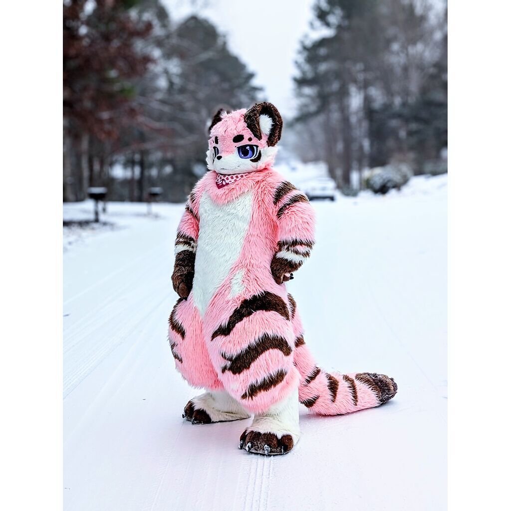 avatar for FruitBatVance