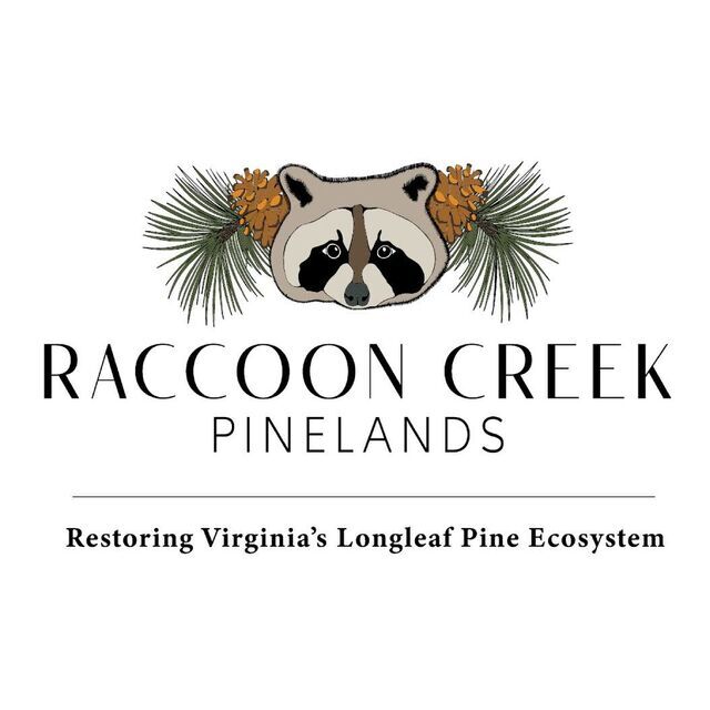 avatar for Raccoon Creek Pinelands