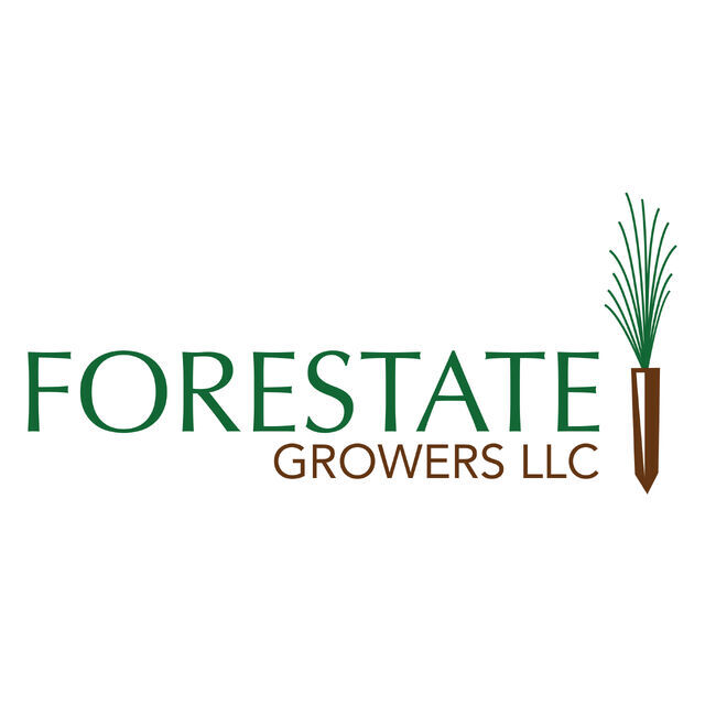 avatar for Forestate Growers