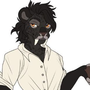 avatar for Rowan