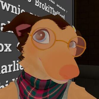 avatar for SkinDog