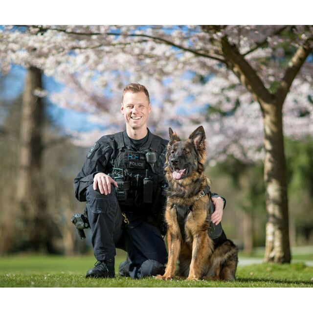 avatar for Jesse Schellenberg