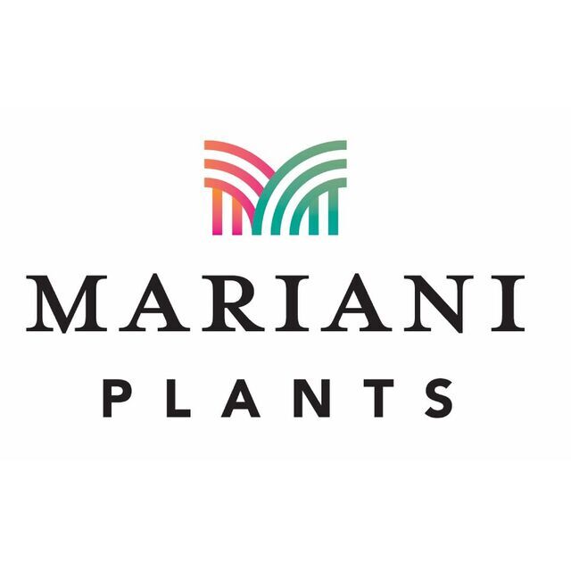avatar for Mariani Plants