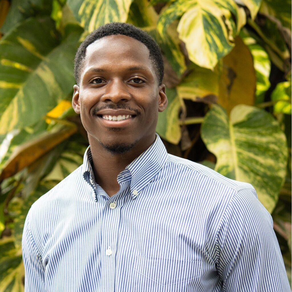 avatar for Nowoola Awopetu