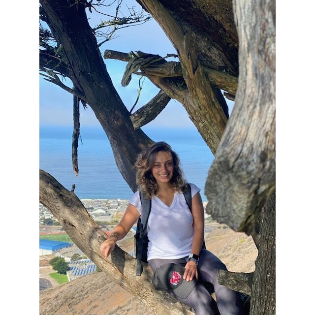 avatar for Yuliana Martirosyan