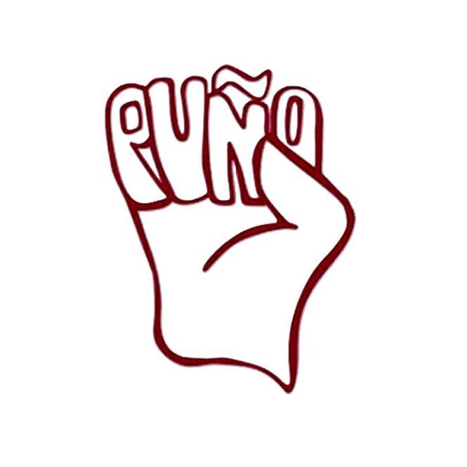 avatar for PUÑO