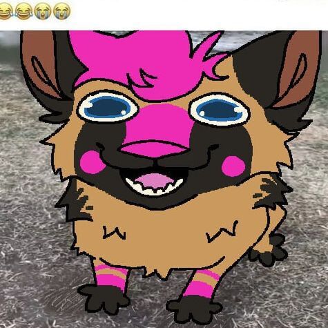 avatar for FluxxShep