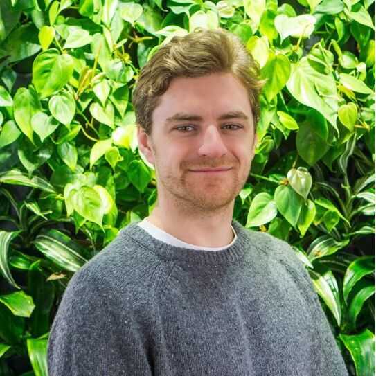 avatar for Rowan Whalen