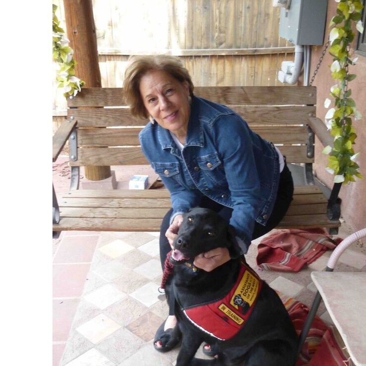 avatar for Linda Milanesi