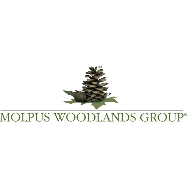 avatar for Molpus Woodlands Group