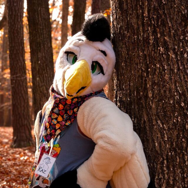 avatar for Raz The Egret