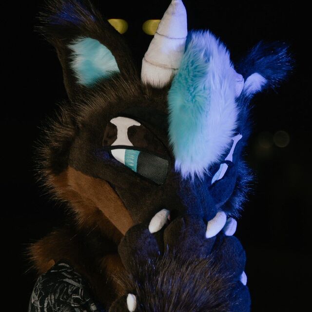 avatar for Ryuki