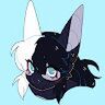 avatar for Phase