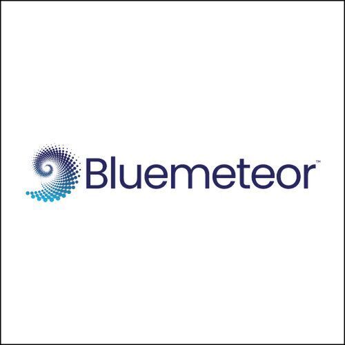 avatar for Bluemeteor