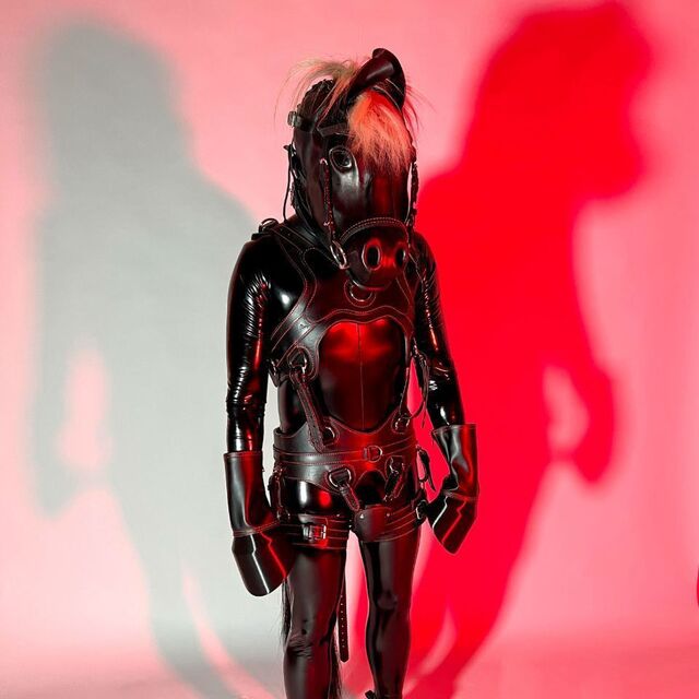 avatar for Wetsuit Stallion